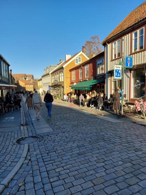 Hidden Gem Near The Old Town Bridge, 40M² Apt. Trondheim Kültér fotó